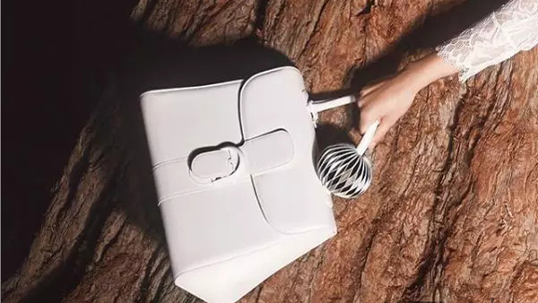 香奈儿今年最新款包包排行榜,香奈儿古驰包包推荐