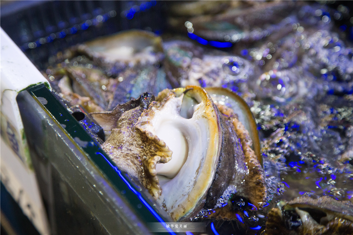 三亚哪里可以逛街带娃,在三亚带儿童玩的地方