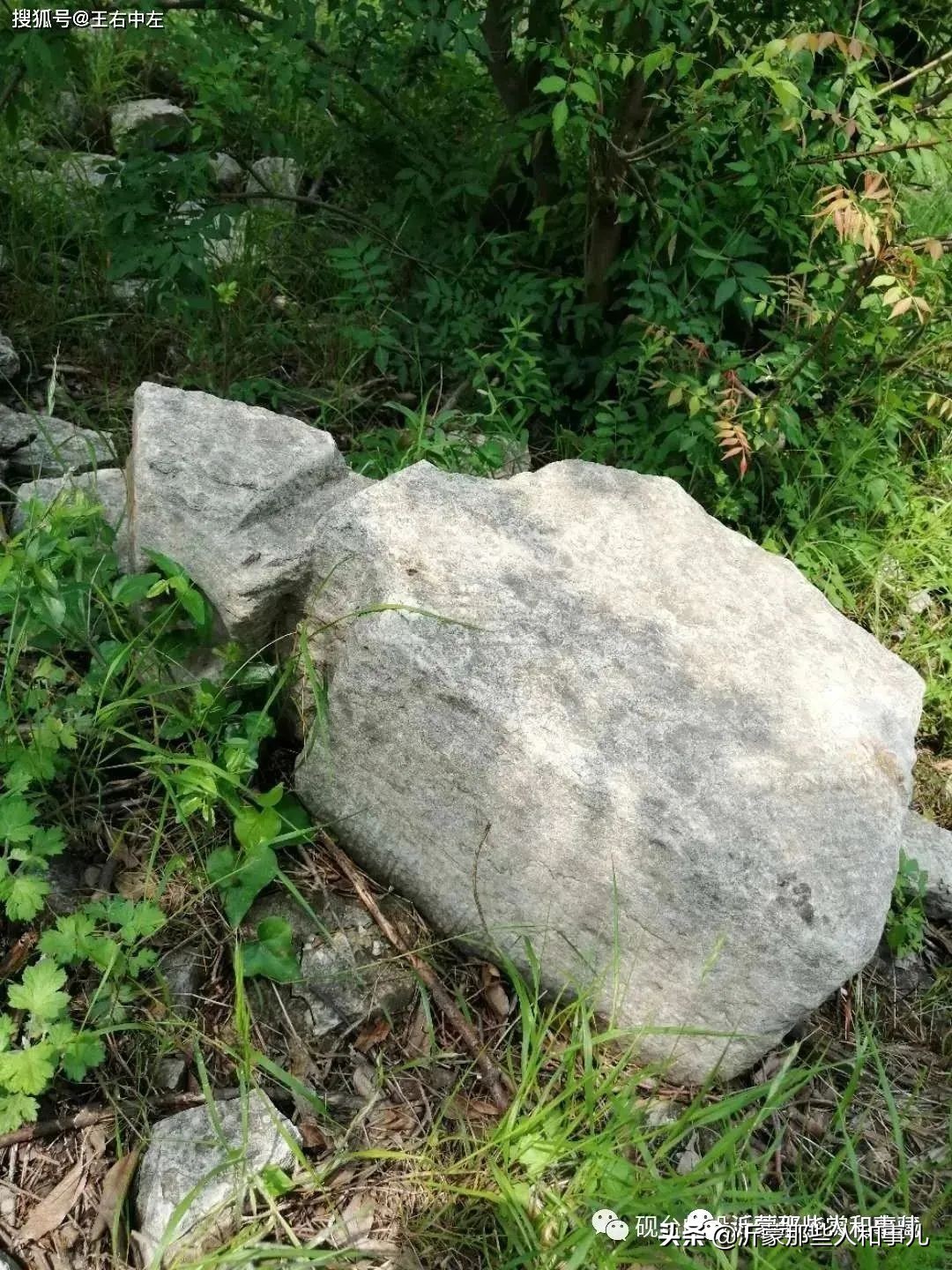 米芾《诏使帖》,米芾临沂使君帖书法赏析