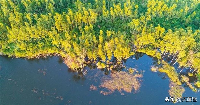 元旦去海口玩什么好,元旦去海南玩需要带什么