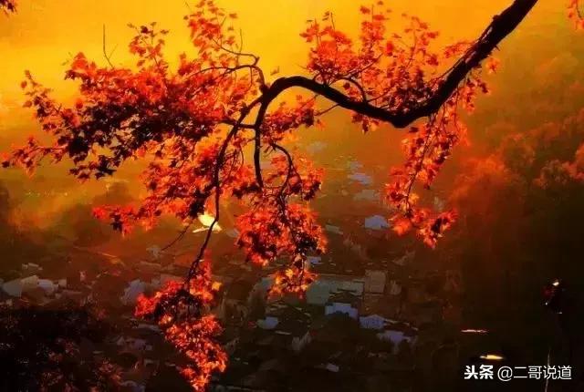 婺源篁岭油菜花摄影,婺源的秋天简直把摄影师逼疯