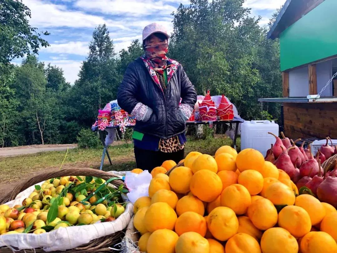 千松坝国家森林公园看云海,在万米的高空看云海