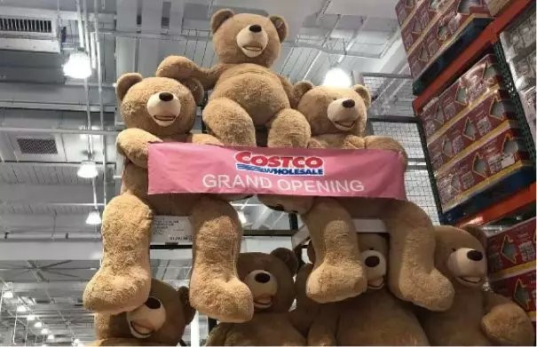 日本的美国超市costco是会员制吗,开业遭疯抢
