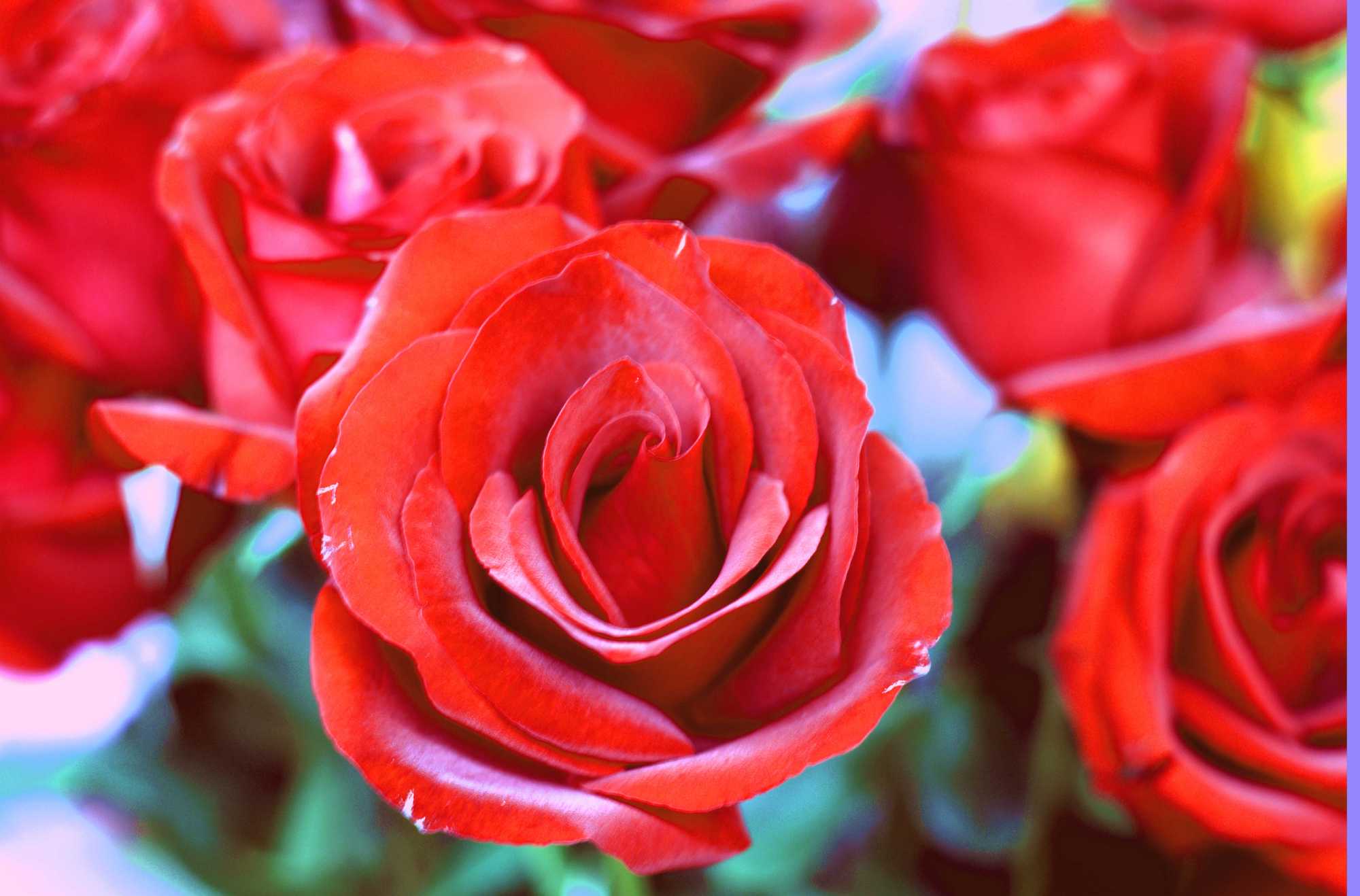 春节蕴含的思想情感或精神追求,春节文化根植于人们的内心深处