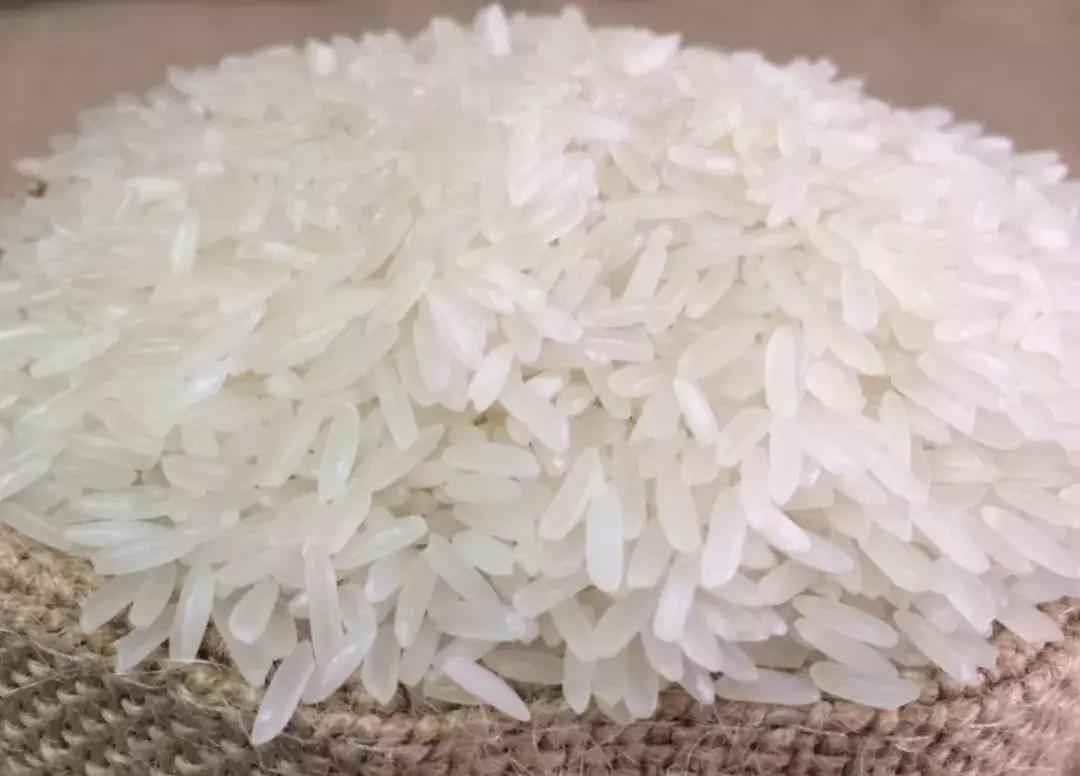 探秘广西巴马长寿之旅,广西巴马长寿探秘之旅