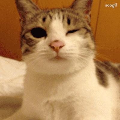 使用攻略|电信5Gplus会员们，注意啦