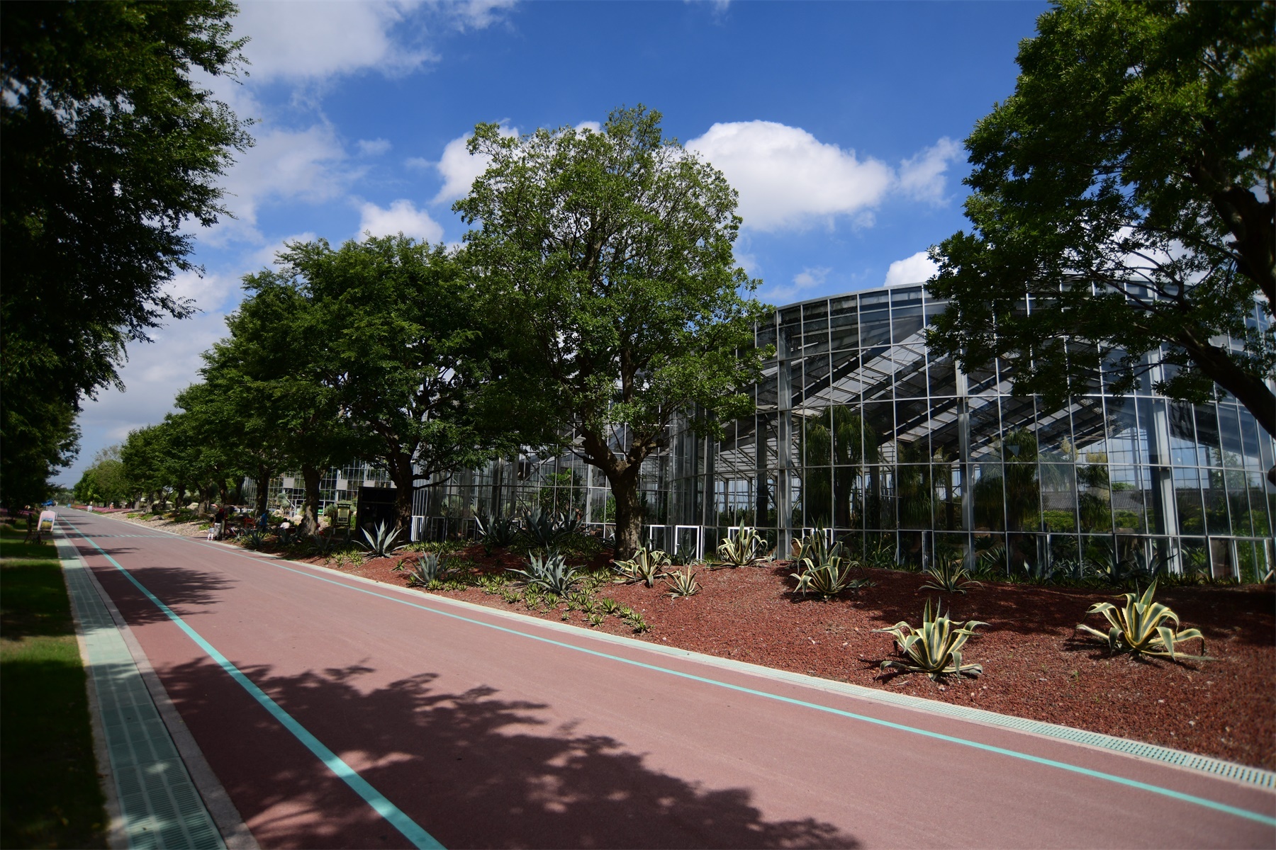 南通绿博园室内,南通绿博园风景