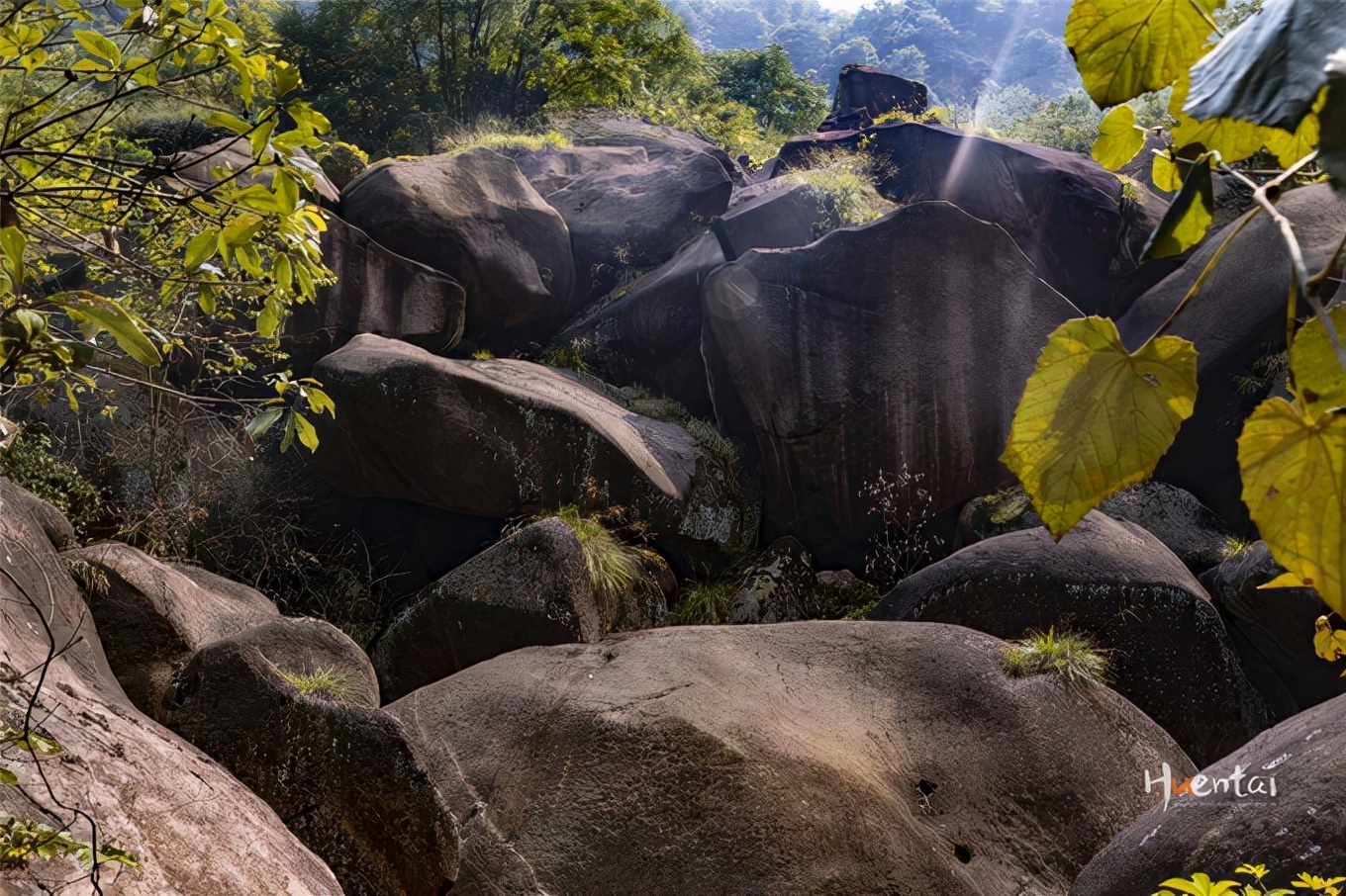 莲花佛国池州,九华山莲花佛国图片