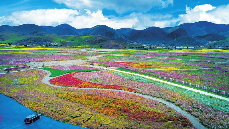 川藏线自驾游什么时候去好,自驾游川藏线的最佳时间
