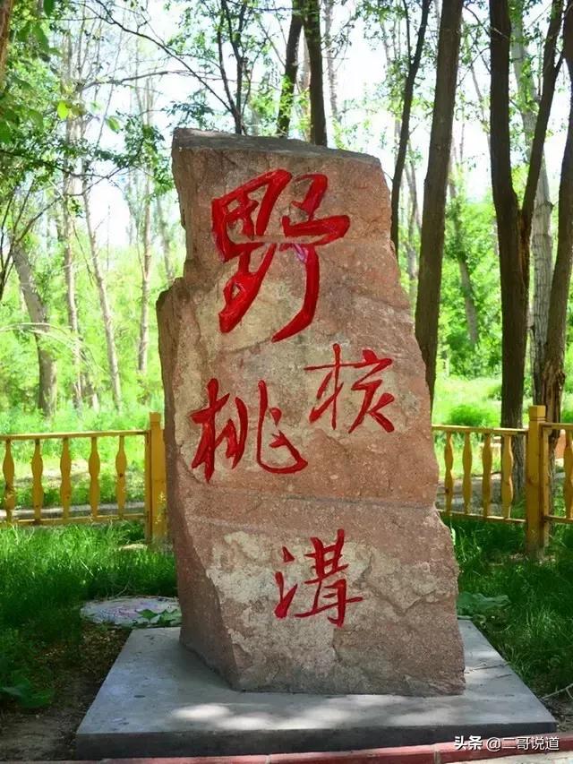 全新疆旅游景点有哪些,新疆带沟的旅游景点