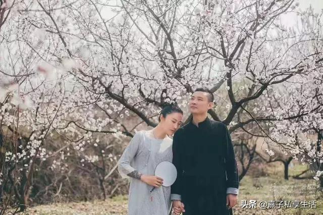 怎么打造低成本花园,怎么用几十元造花园