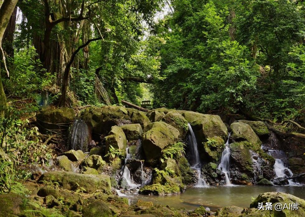 美国西部旅游必去景点推荐,美国东部值得去的景点排名