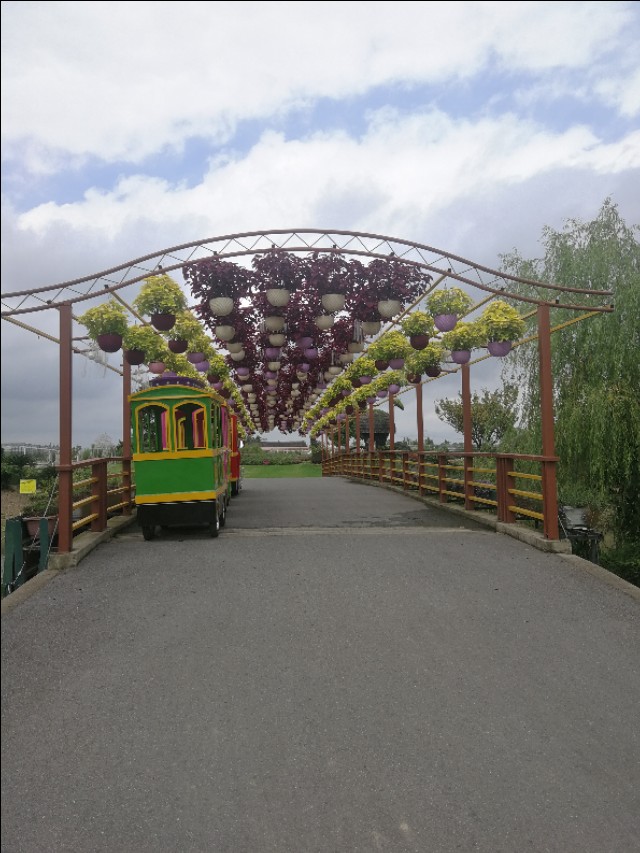 上海浦东周浦镇,上海浦东小镇