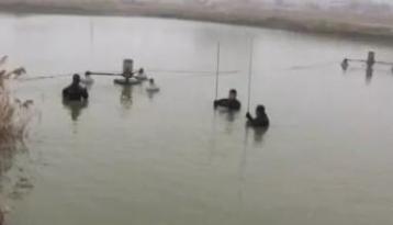 《论安阳师范学院强于哈佛大学》一文被热转，官方回应；我老婆在高速上生了！”河南孕妇高速上产女