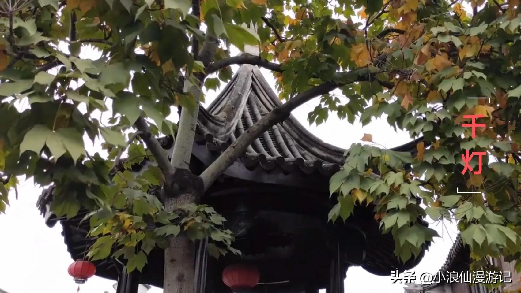 苏州免费景点排名榜前十名,苏州60岁免费景点大全