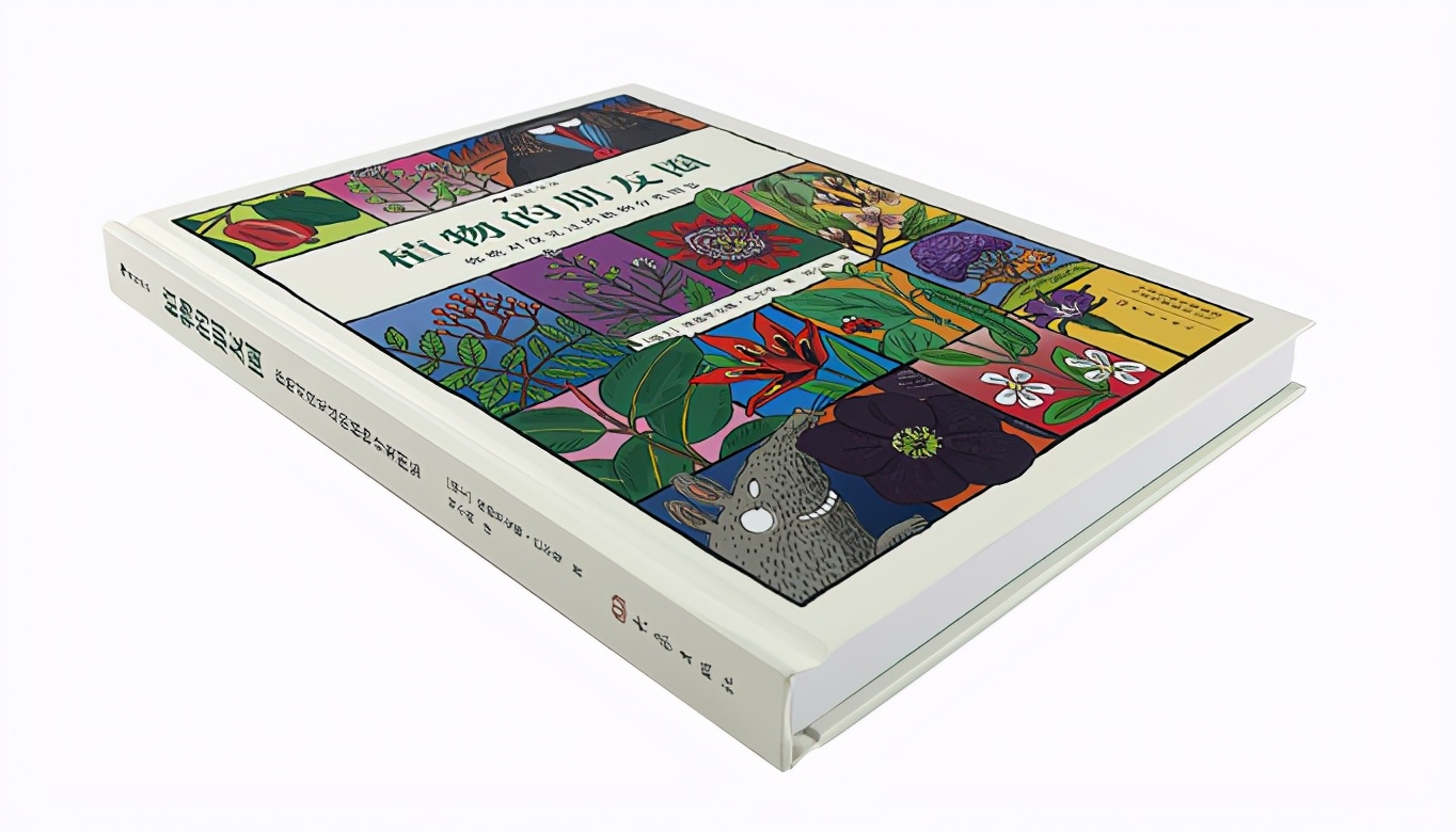 果实有毒的植物有哪些,最毒的植物水果