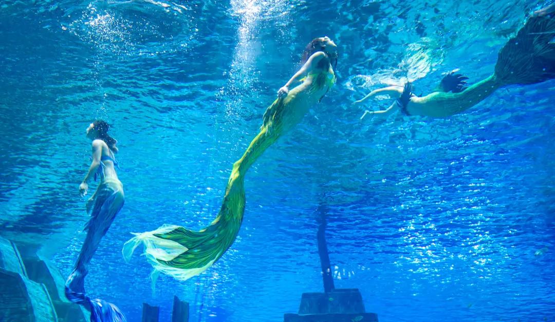 这个季节适合去济南哪旅游,济南十一假期游玩攻略