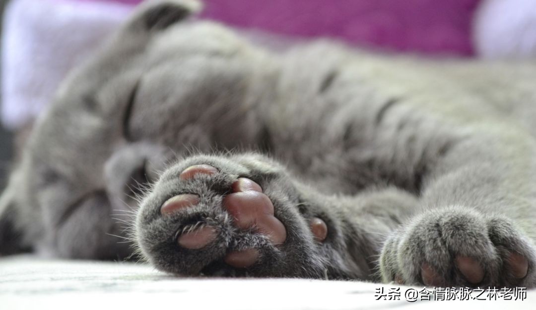 可爱的送给女孩子治愈的礼物,治愈系礼物送女友