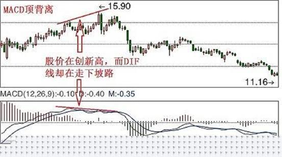 股票基础知识入门macd,股票入门基础知识macd