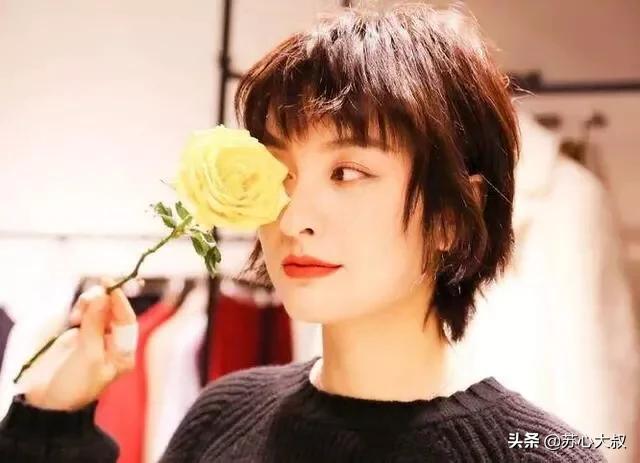 当女明星太难了,当女明星的烦恼