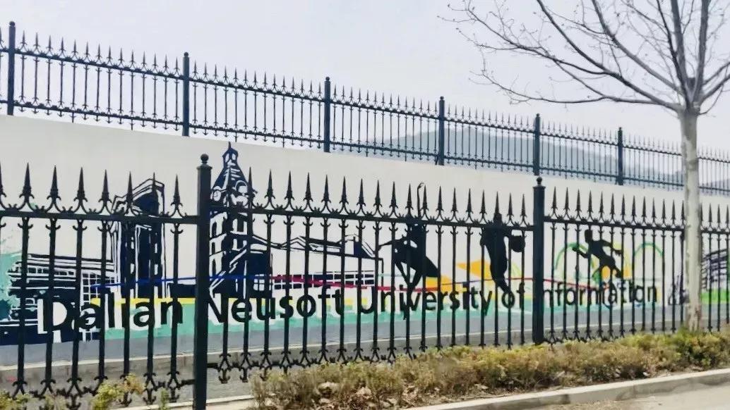 辽宁省民办大学（二）大连东软信息学院