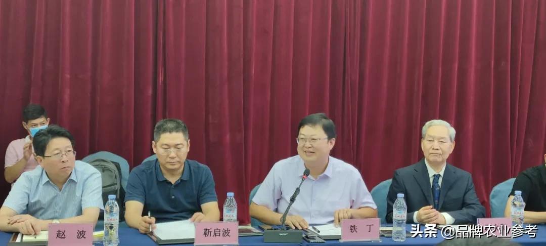 单县羊肉汤为啥是中华第一汤,山东单县第一名羊肉汤