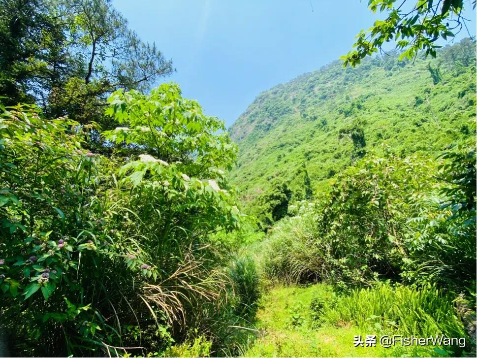 中毒or中暑，36度高温带两女生徒步，中道而退之登云-恩顶水库。