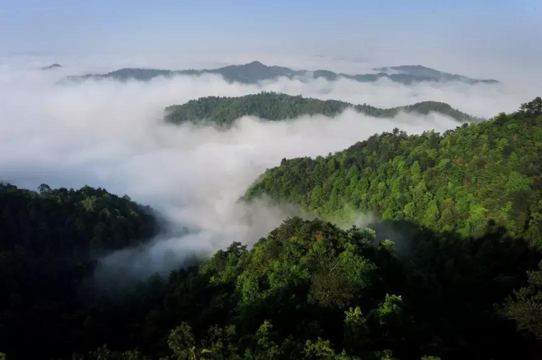 下一站联合电子,下一站同行