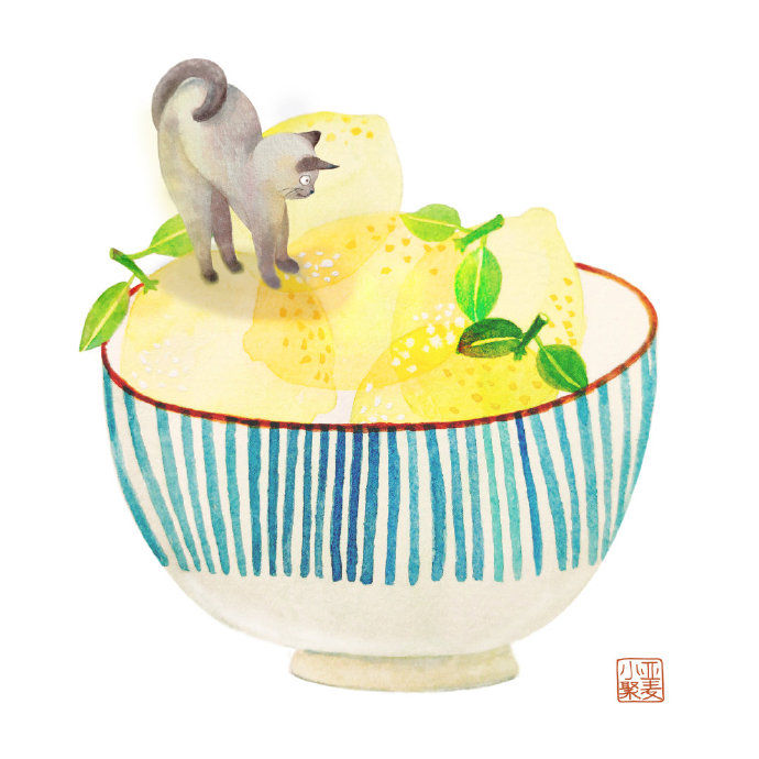 那些你不知道的猫咪冷知识,猫咪的冷知识你知道哪些