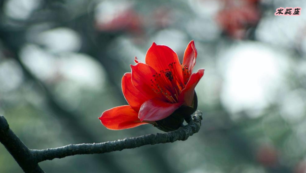 天蝎女和摩羯男一物降一物,能把天蝎女照顾得最好的星座男