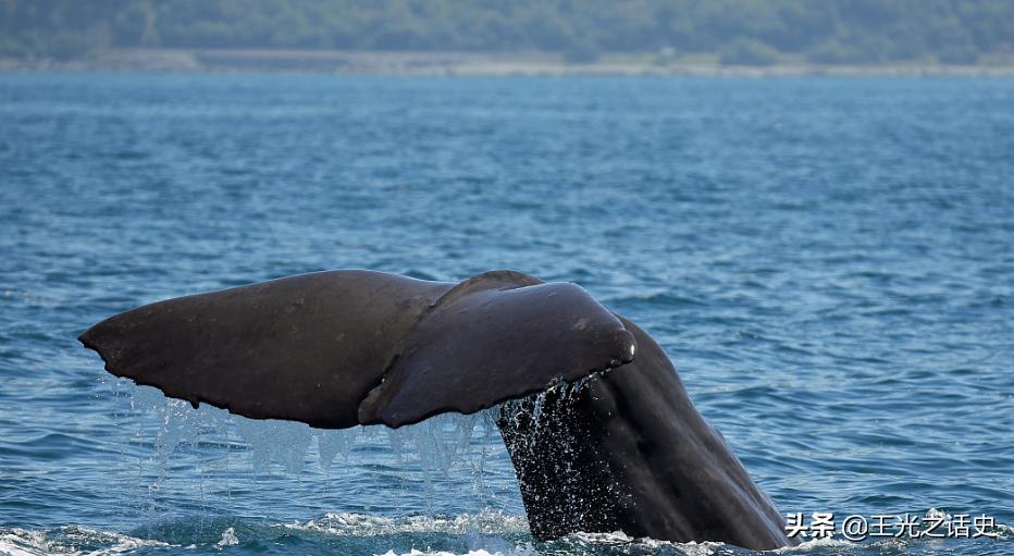 鏂拌タ鍏版槸鍐滀笟鍥藉悧,鍐滀笟鍥芥柊瑗垮叞