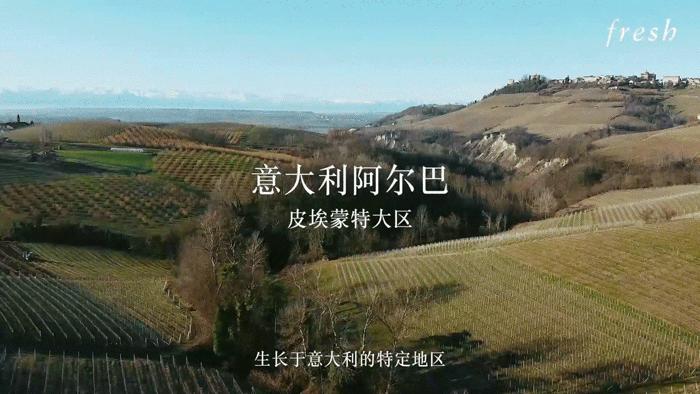 fresh限量款面膜,fresh白钻松露面膜