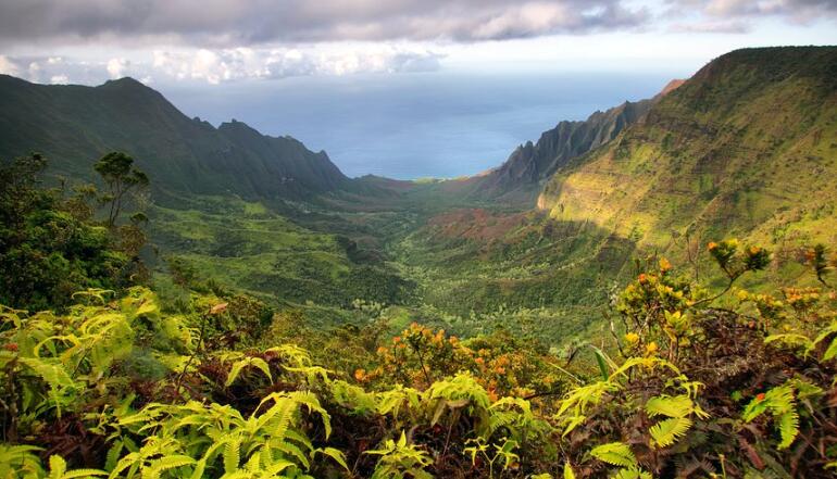 恐龙时代侏罗纪白垩纪,侏罗纪和白垩纪哪个时代远