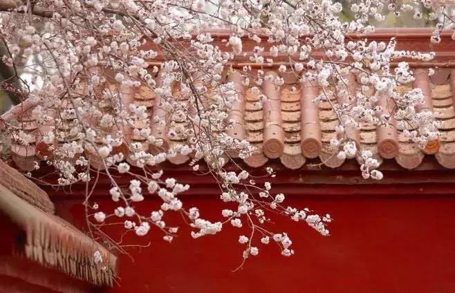 三个因素决定了你的人缘,为啥你人缘不好