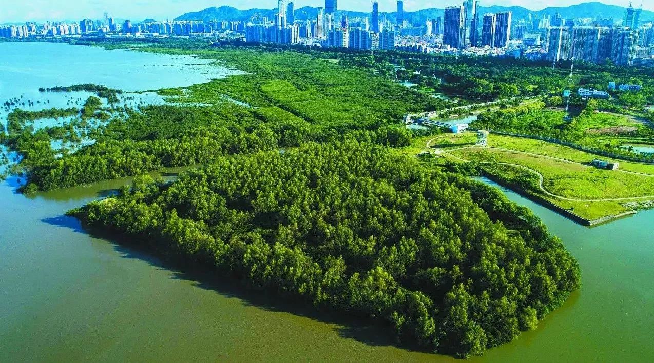 离不开的深圳回不去的老家,离不开的北上广