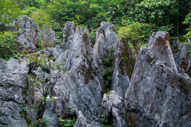 小平故里广安风景,小平故里到华蓥山有多远