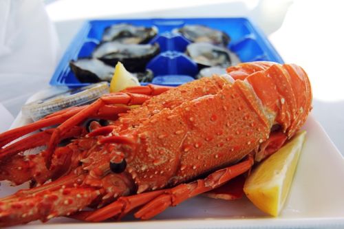 中国工厂停工会造成什么情况,中国工厂停产对各国有什么影响