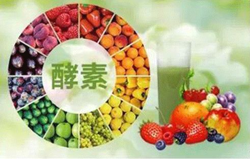 自制减肥酵素排行榜前十名,家庭自制减肥苹果酵素方法