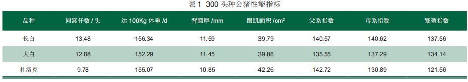 用优秀的公猪及精液产品为养殖者服务