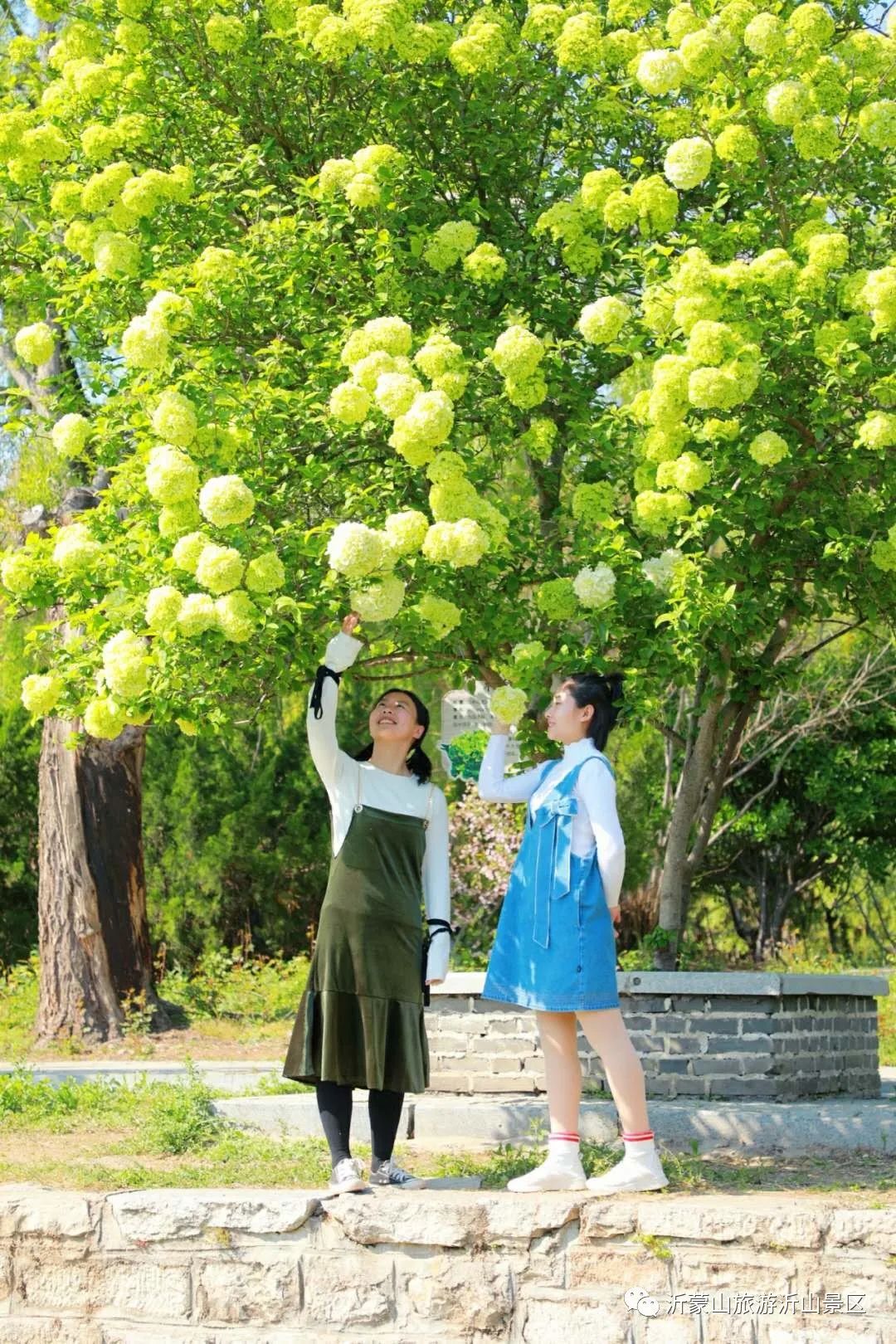 五一假期潍坊赏花踏青地推荐！这8个小众的绝美之地，一定要去走一走啊...