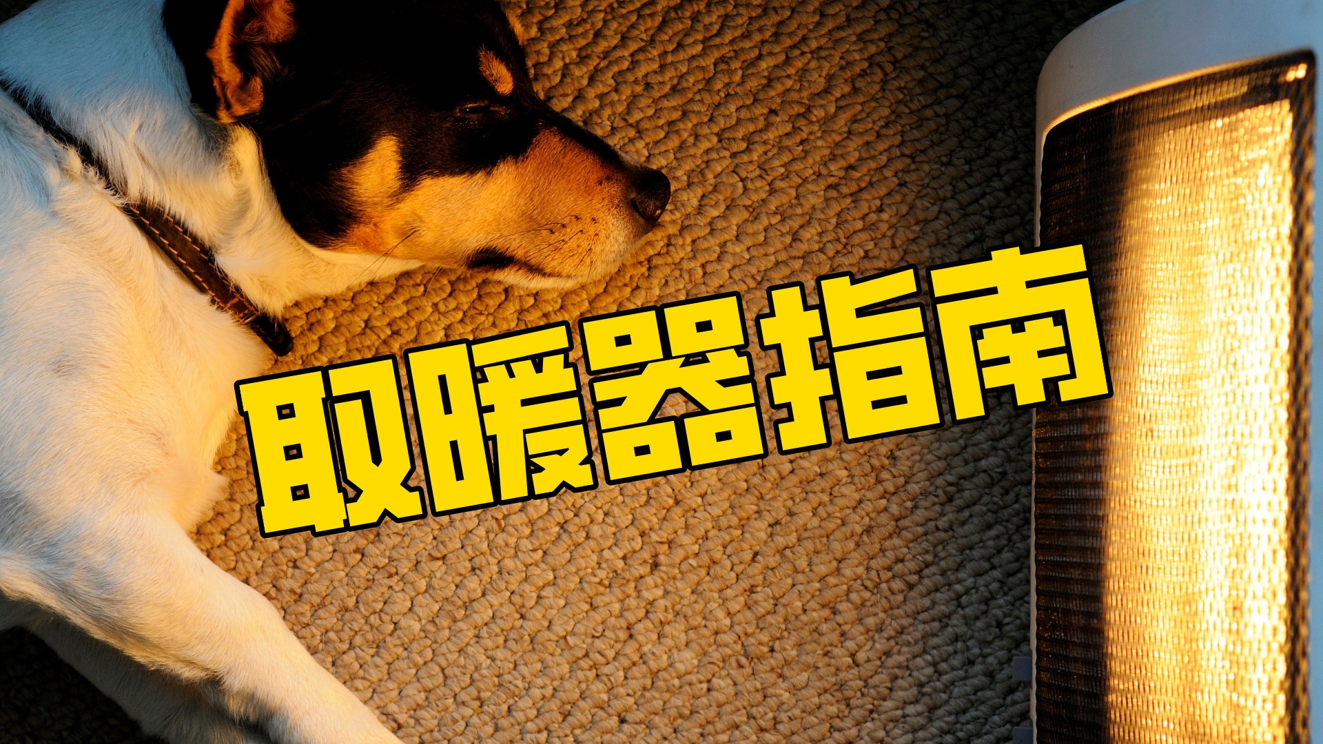 这个冬天怎么过得去,平价电暖器怎么选