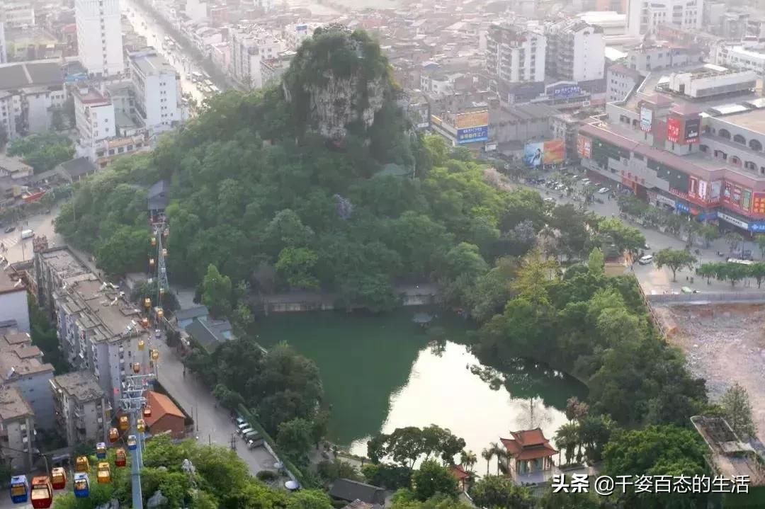 广西低调小城竟然藏了个小奈良,广西有座低调的养老小城