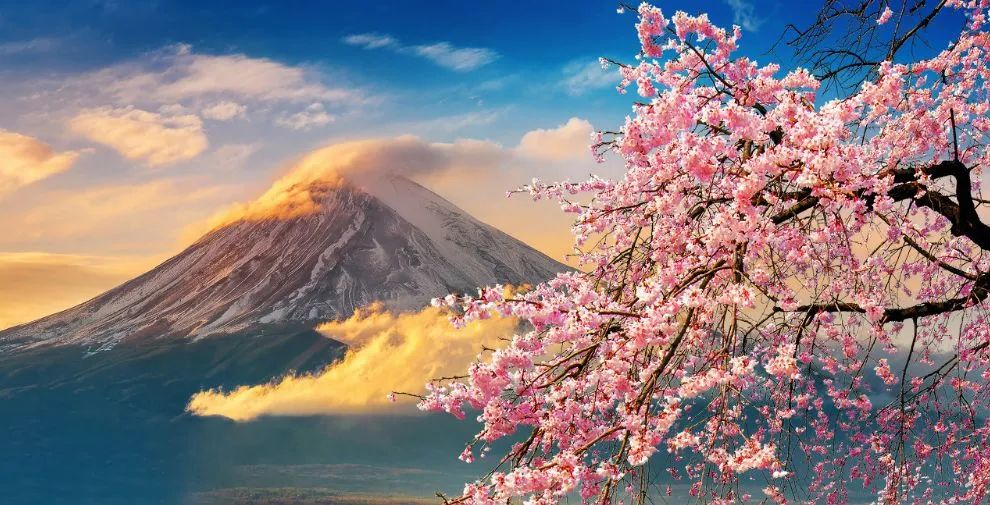 从上流贵妇喜爱的“鼠色”,到涩谷辣妹钟情的茶色,尽显日本风流