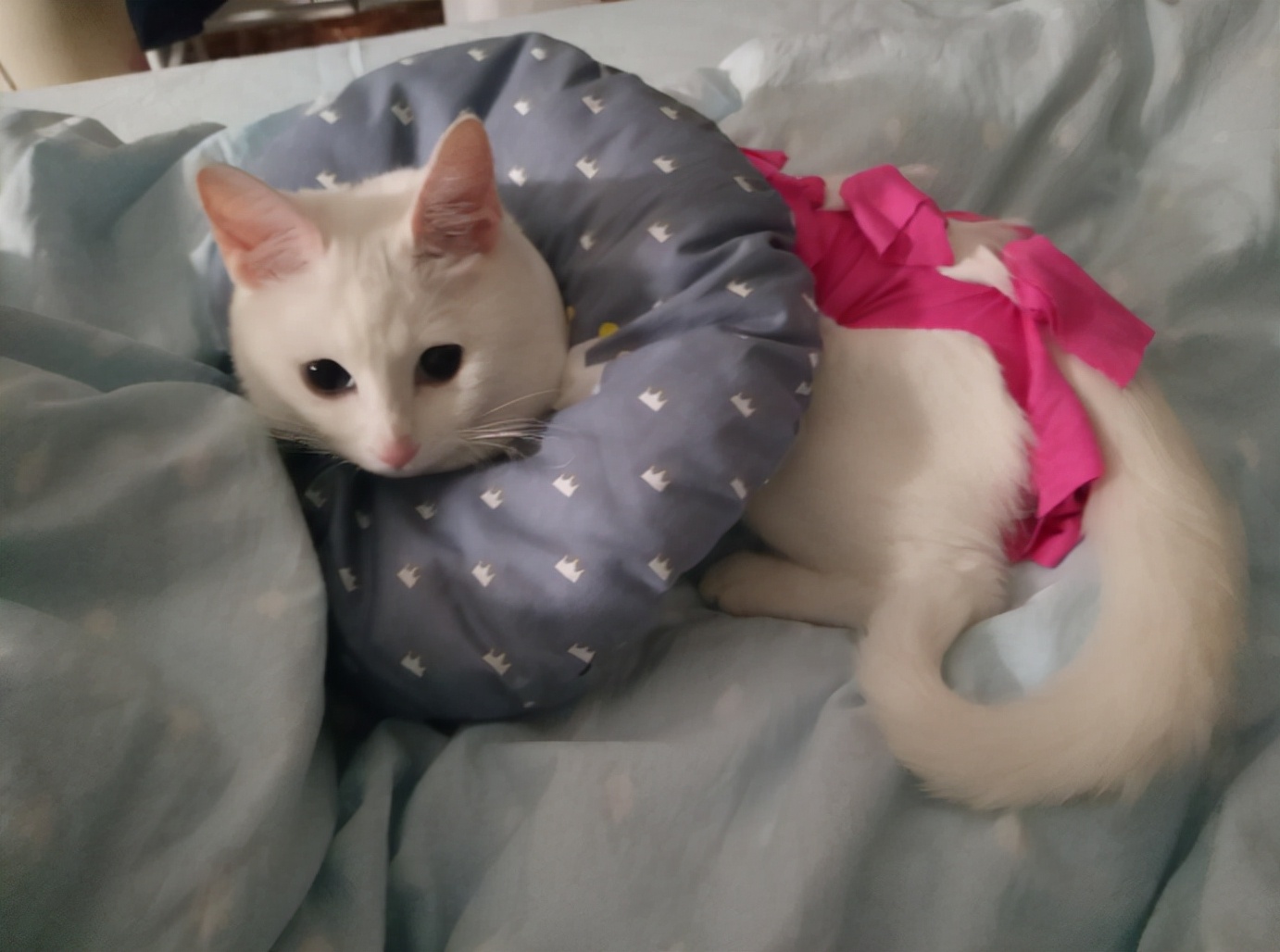 工作报告怎么写证明工作太多,上班不愿意写工作总结怎么办