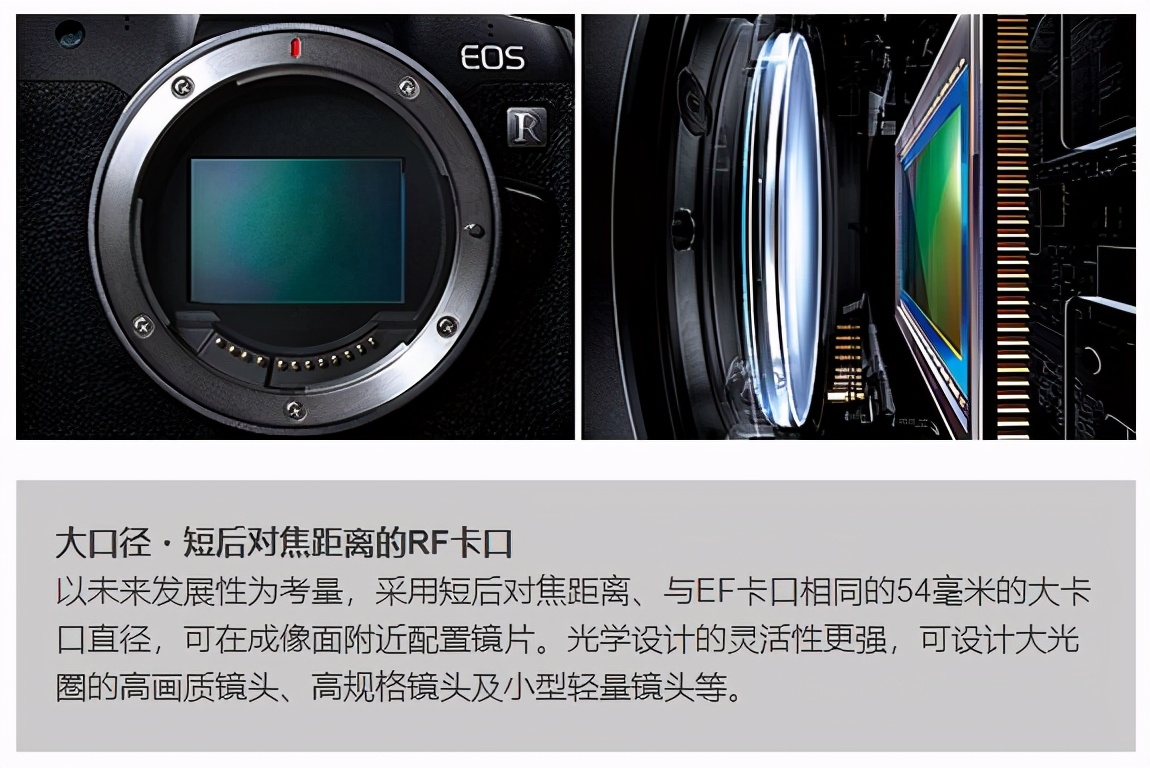 佳能rf50f1.8stm镜头,佳能r10rf50f1.8stm镜头
