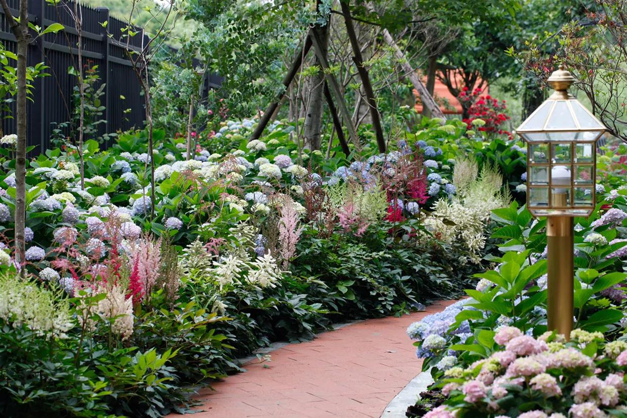 阳光房的植物推荐,北欧封闭阳台植物搭配