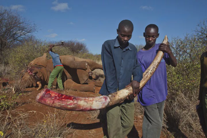15岁怀孕，她被骗吃下*药炸**，一尸两命：有些人，这辈子不配为人