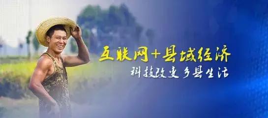 县域电商十大模式,清镇县域电商模式