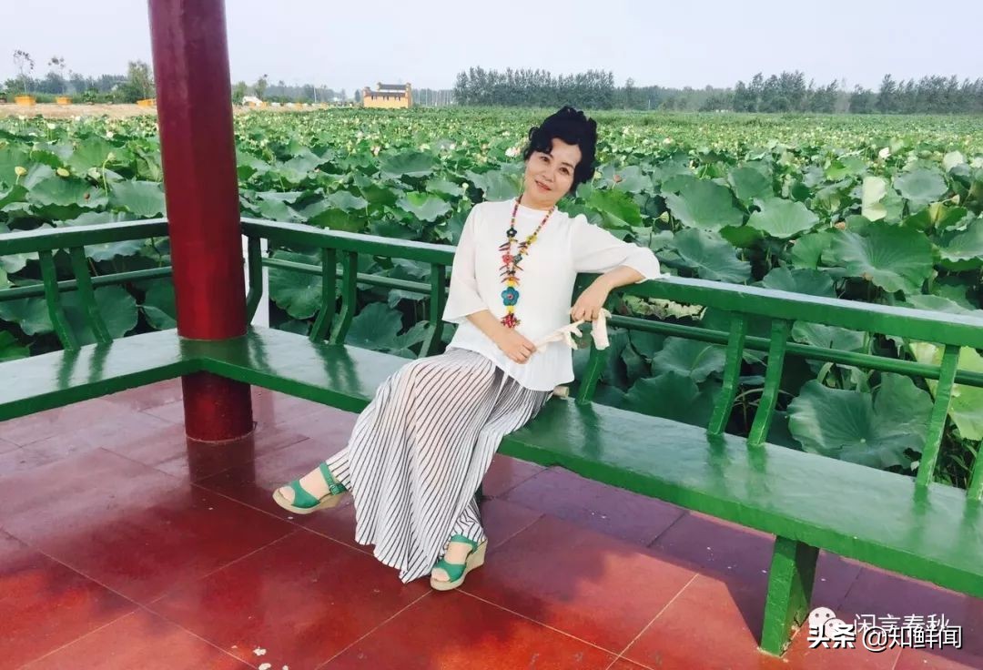 淮安小红花香飘50年,小红花淮安