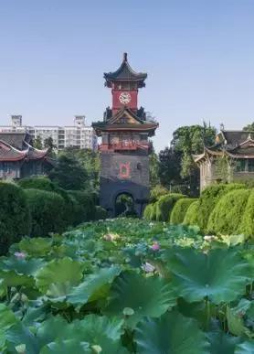 川大口腔五年毕业就业,川大口腔医学毕业后工资有多少